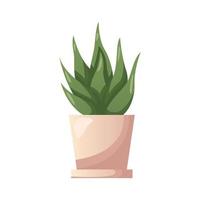 cactus succulento pianta della casa nel pentola. interno in vaso Casa pianta nel vaso di fiori. casa giardino, serra, florario, giardinaggio amante. domestico memorizzare manifesto, striscione, volantino, pubblicità, promo. vettore