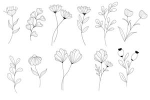 foglia e fiore mano disegnato linea arte collezione vettore