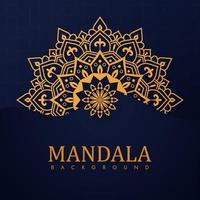 decorativo ornamentale lusso mandala modello design vettore