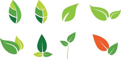 le foglie icona vettore impostato isolato su bianca sfondo. vario forme di verde le foglie di alberi e impianti. elementi per eco e bio loghi. vettore