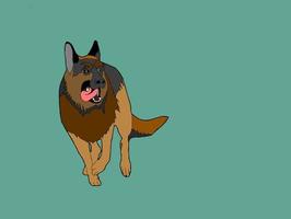 piatto isolato sheppard. cane razza illustrazione vettore. vettore illustrazione