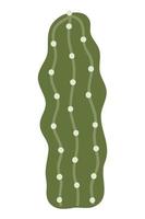 cactus e succulente, vettore illustrazione nel piatto stile