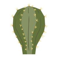 cactus e succulente, vettore illustrazione nel piatto stile