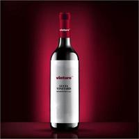 vettore di bottiglia di vino, design del concetto di etichetta di bottiglia di vino rosso, design di packaging per vino rosso minimale
