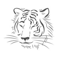 tigre icona logo design vettore