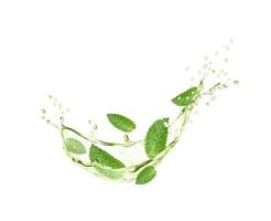 verde erbaceo tè spruzzo onda con menta le foglie vettore