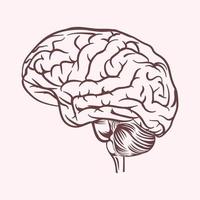 umano cervello vettore design illustrazione nero e bianca