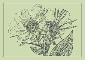 rosa canina fiore monocromatico design elemento. botanico disegno nel incisione stile. saluto carta e invito di il nozze, compleanno vettore