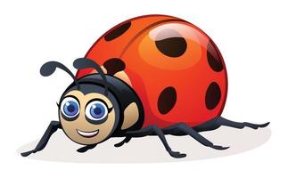 carino coccinella cartone animato illustrazione isolato su bianca sfondo vettore