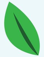 un' singolo foglia, verde foglia, verde e blu colori, adatto per naturale prodotti aziende, ecosistemi icona, foglia illustrazione vettore, minimo stile disegno vettore