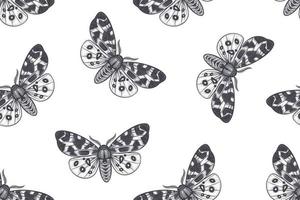 nero e bianca notte farfalle. senza soluzione di continuità modello.