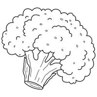 broccoli, cavolfiore, mano disegnato colorazione o ictus. vettore