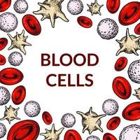 sangue cellule sfondo. design per sangue test, anemia, donazione, emofilia, laboratorio scientifico ricerca concetti. vettore illustrazione nel schizzo stile