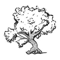 disegno dell'albero di quercia vettore