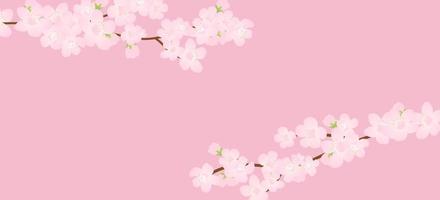 rosa ciliegia fiore, vettore illustrazione. vettore sfondo