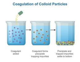 coagulazione di colloide particelle vettore illustrazione