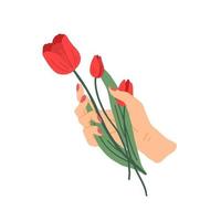 cartone animato femmina mano Tenere rosso tulipano. vettore