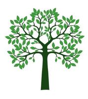 forma di verde albero con le foglie. vettore schema illustrazione.