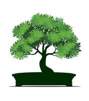 forma di albero nel pentola. vettore schema illustrazione di bonsai.