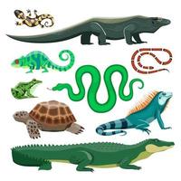 rettili e anfibi. lucertola, coccodrillo, tartaruga, serpente, iguana, salamandra, rana, camaleonte. terrario animale domestico rettile, stagno animali vettore impostato