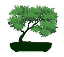 forma di albero su pentola. vettore schema illustrazione di bonsai.