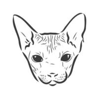 illustrazione vettoriale di un gatto sphynx con un rivestimento isolato su uno sfondo bianco. per la stampa su vestiti, carta, logo, icona, vuoto per t-shirt designer, piatti, letto