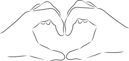 Due mani mostrare un' cuore, vettore. mano disegnato schizzo. vettore