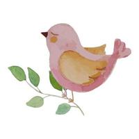 acquerello illustrazione con rosa uccello seduta su albero ramo. vettore
