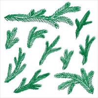 impostato di disegnato a mano ramo di Natale albero o pino vettore