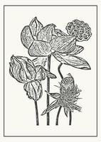 monocromatico loto fiori botanico manifesto. schizzo illustrazione nel incisione stile. saluto carta e invito design di il nozze, compleanno vettore