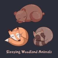 raccolta di tre animali del bosco addormentati vettore