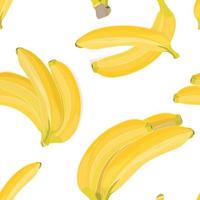 senza soluzione di continuità mano disegnato tropicale modello con Banana frutta su bianca sfondo vettore