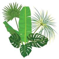 mano disegnato tropicale palma le foglie composizione con giungla esotico fiore su bianca sfondo botanico vettore illustrazione