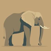 animale mammifero africano elefante adulto vettore
