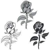 disegno vettoriale di fiori in tre diversi stili, bianco e nero