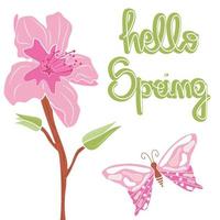 carino mano disegnato lettering Ciao primavera testo con pesca albero rosa fiori e farfalla vettore illustrazione carta