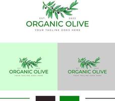 biologico oliva logo disegno, oliva foglia, olive logo design vettore