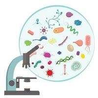 microscopico microrganismi vivente nel un' bioma scientifico vettore illustrazione grafico icona