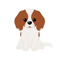 carino cavaliere re charles spaniel cane isolato su bianca sfondo. vettore piatto illustrazione