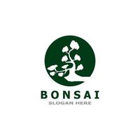 Bonsai albero pianta vettore logo illustrazione