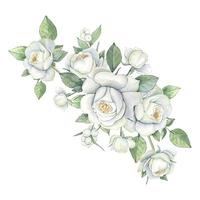 acquerello mazzo di bianca Rose, floreale illustrazione isolato vettore