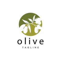 oliva logo, oliva olio pianta vettore, naturale erbaceo Salute medicina disegno, illustrazione modello icona vettore