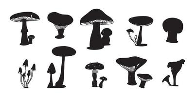 insieme variopinto di doodle del fungo. schizzo piatto disegnato a mano di vari funghi. champignon, gallinacci e shiitake. vettore