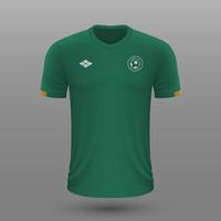 realistico calcio camicia , Irlanda casa maglia modello per calcio kit. vettore