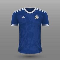 realistico calcio camicia , bosnia casa maglia modello per calcio kit. vettore