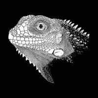 illustrazione di iguana schizzo disegno grunge vettore schema animale
