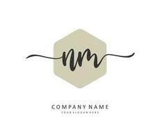 n m nm iniziale lettera grafia e firma logo. un' concetto grafia iniziale logo con modello elemento. vettore