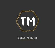 t m tm iniziale lettera grafia e firma logo. un' concetto grafia iniziale logo con modello elemento. vettore