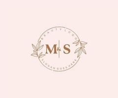 iniziale SM lettere bellissimo floreale femminile modificabile prefabbricato monoline logo adatto per terme salone pelle capelli bellezza boutique e cosmetico azienda. vettore