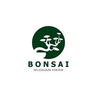 Bonsai albero pianta vettore logo illustrazione